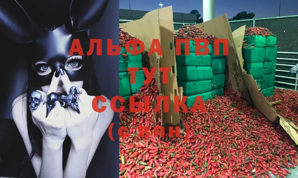 крисы Нефтегорск