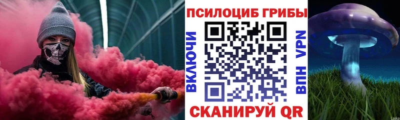 Купить закладки  Медногорск  Галлюциногенные грибы Psilocybe 